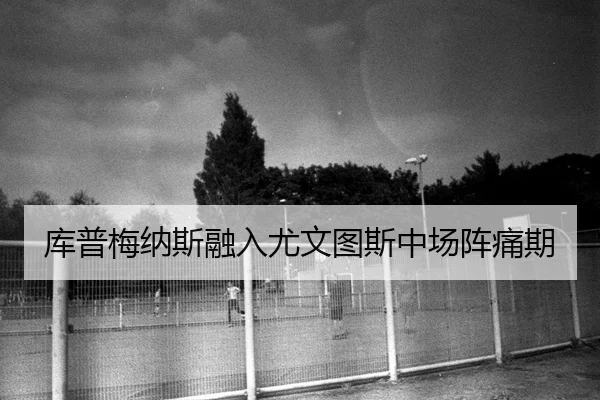 ku-pu-mei-na-si-rong-ru-you-wen-tu-si-zhong-chang-zhen-tong-qi-2-709.jpg